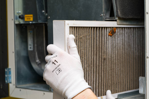 Best Local Air Duct Cleaning Services  in Shoreview, MN